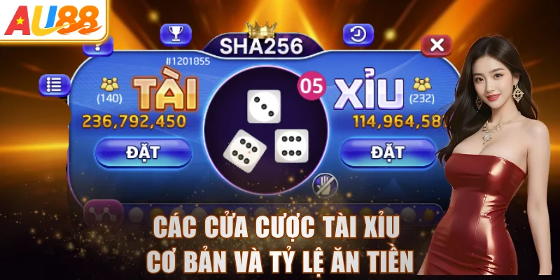 Các cửa cược tài xỉu cơ bản và tỷ lệ ăn tiền